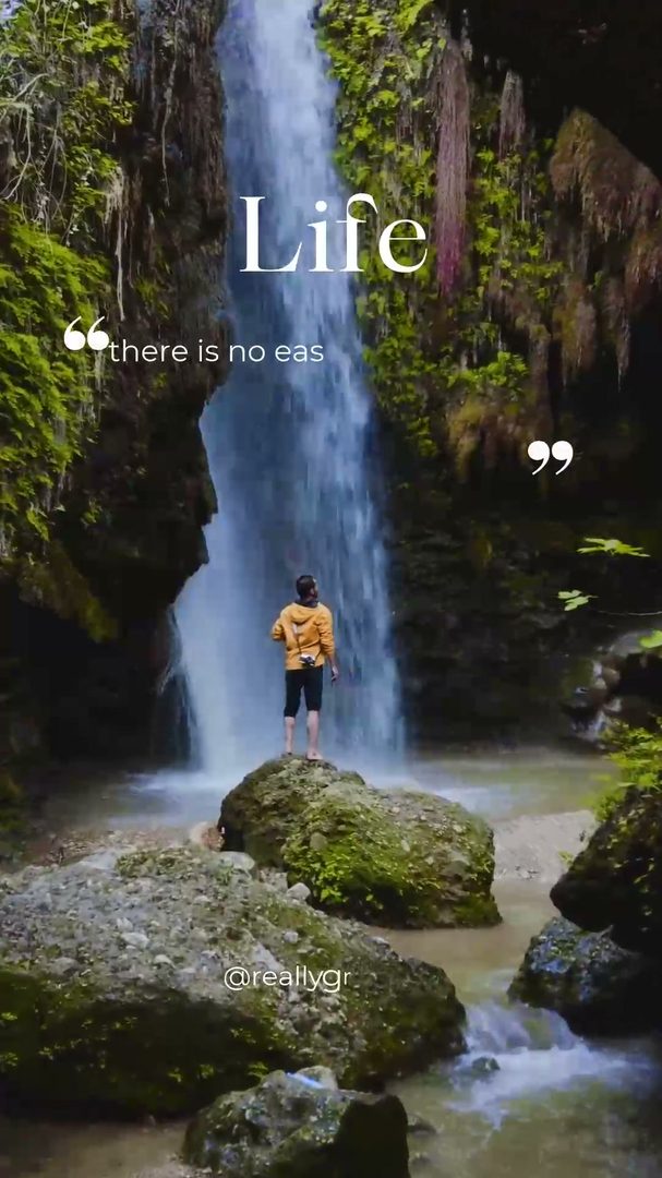 Wellness & Health Story